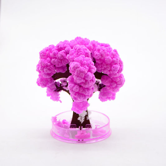 Decompression Puzzle Experiment Paper Magic Cherry Blossom Tree